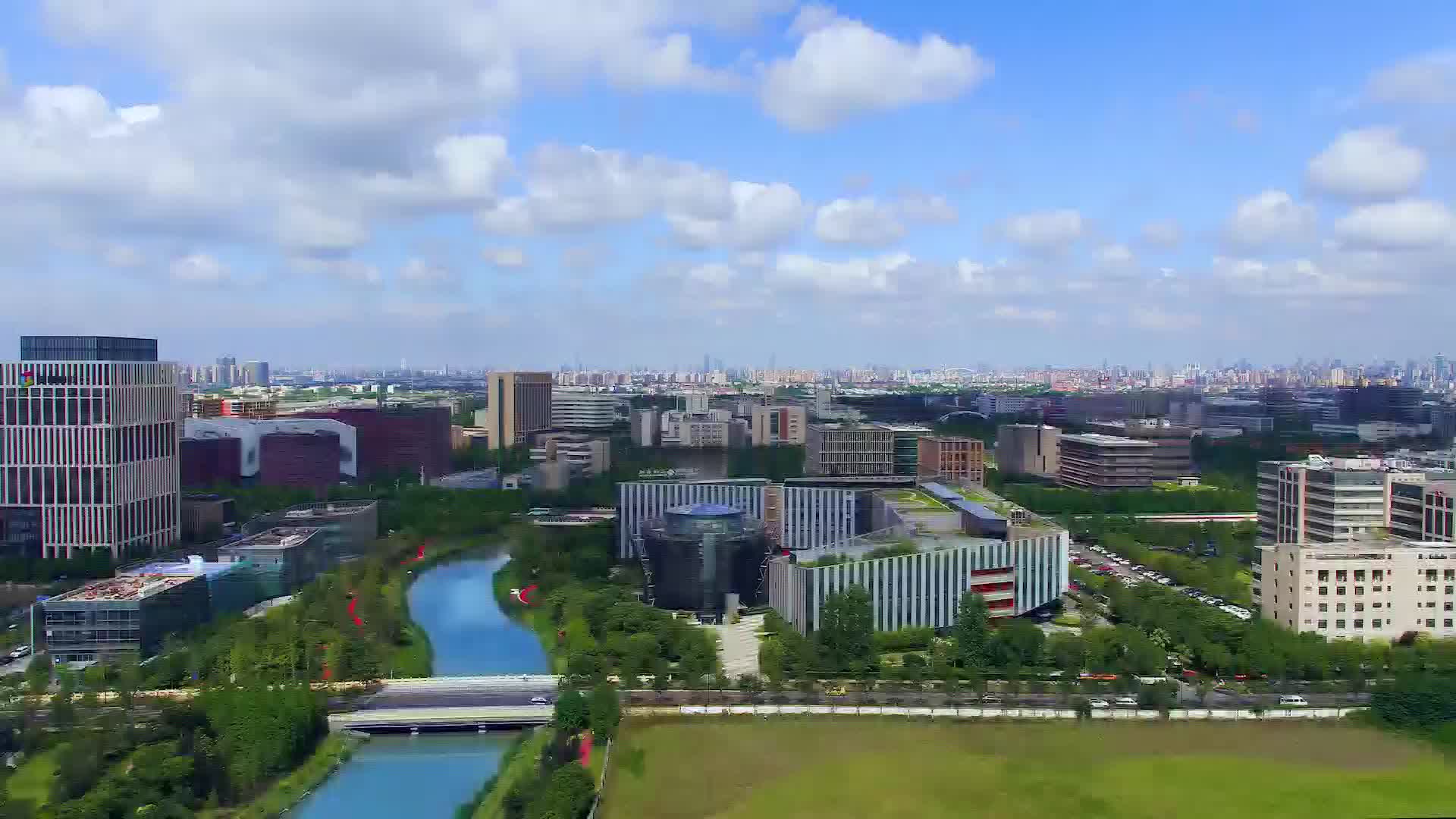 上海国际生物医药产业周 外高桥:医药健康国际合作