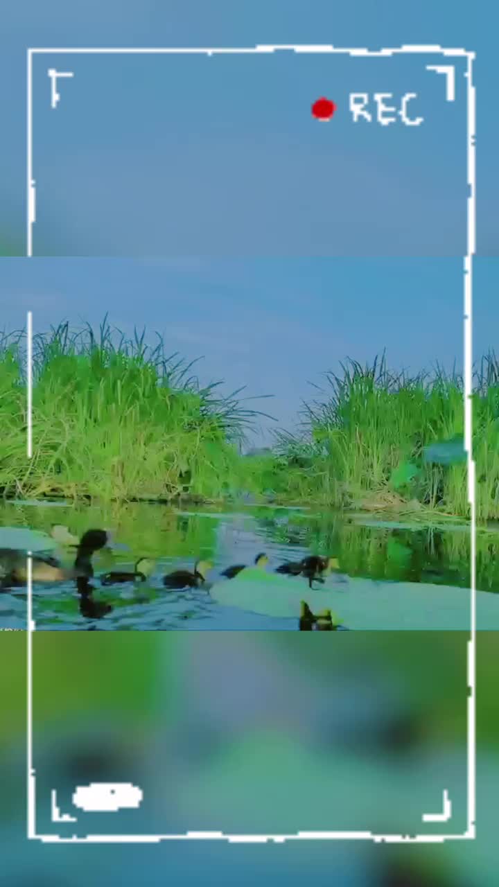 塑造历史伟人