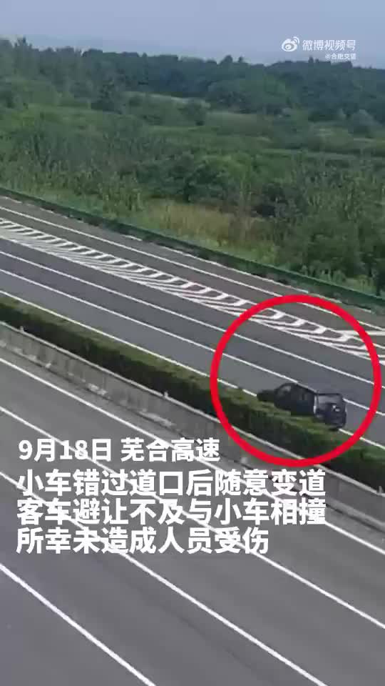 1000.jpg