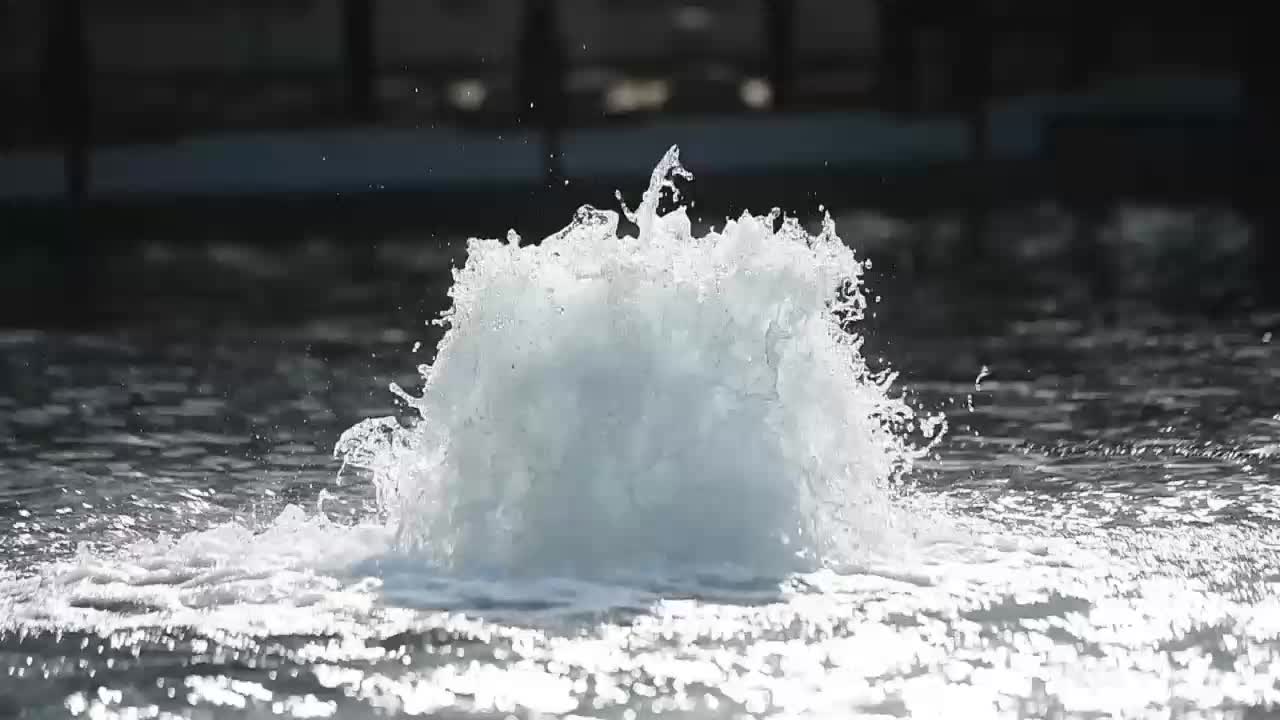 章丘泉水爆发式喷涌冬喷势头不输夏季