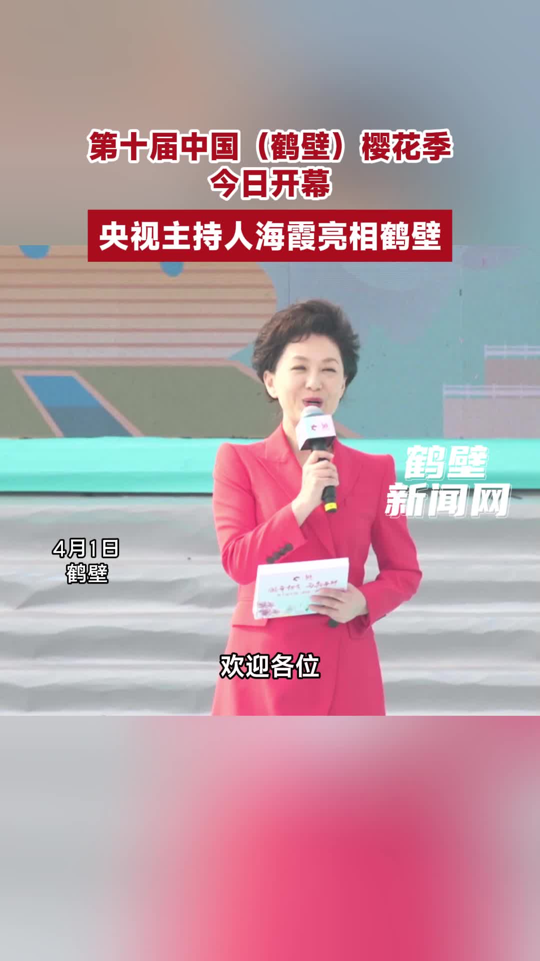 第十届中国(鹤壁)樱花季开幕,央视主持人海霞亮相鹤壁_澎湃号·媒体