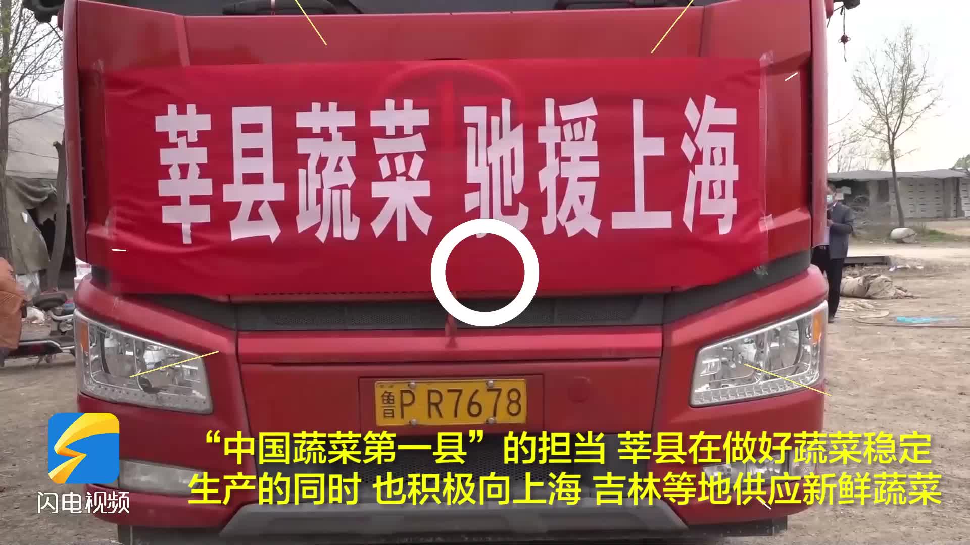 中国蔬菜第一县的担当3月份莘县向上海吉林分别供应一万余吨新鲜蔬菜