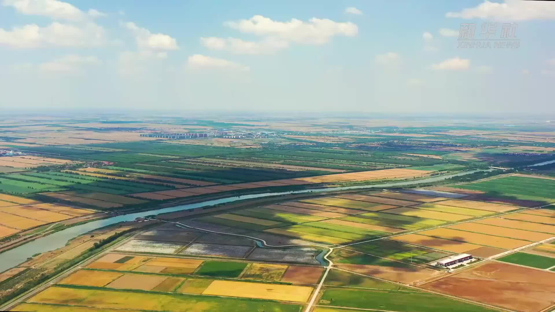 山东黄河三角洲:昔日盐碱地 今朝"新粮仓"