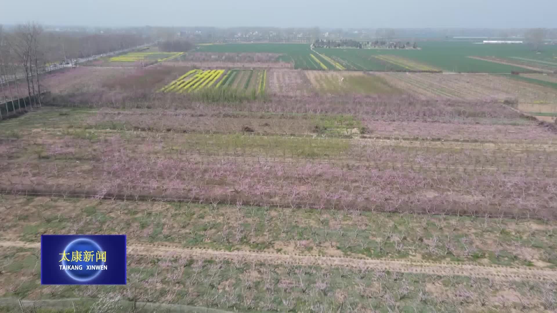 太康新闻最新今天消息图片