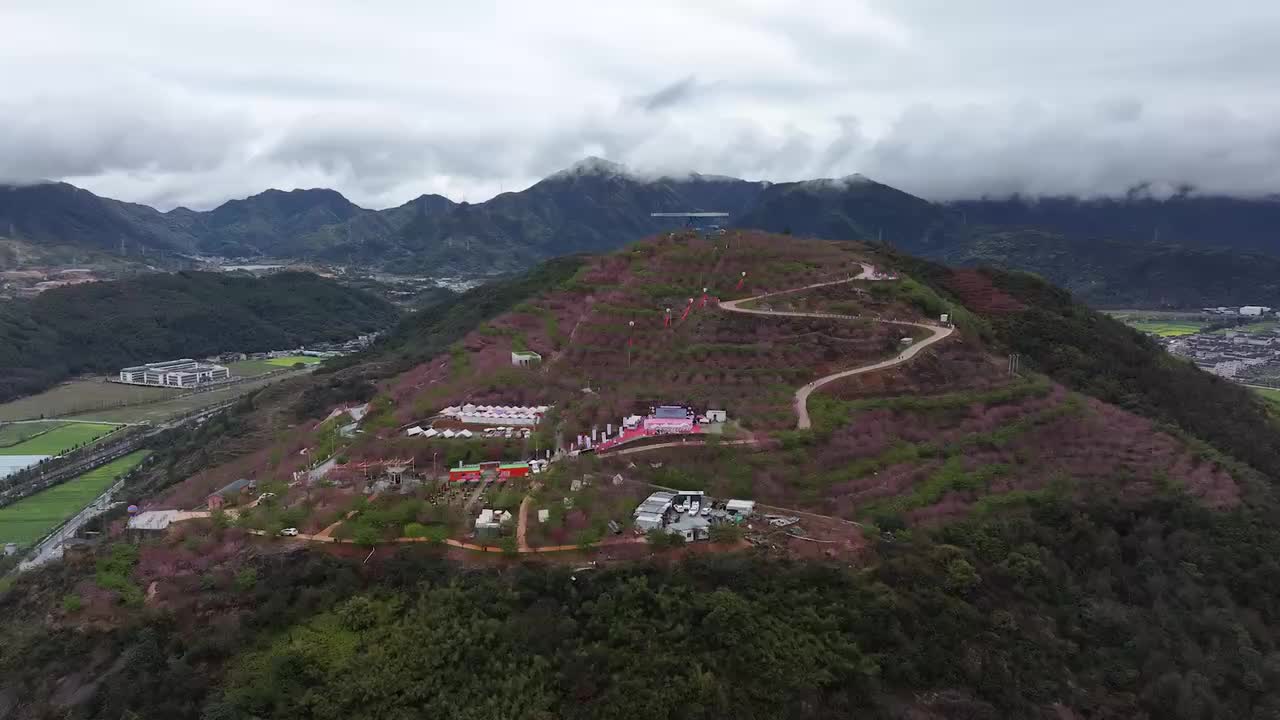 桐浦镇素有"温州都市后花园"之美誉,这里春暖花开,万物复苏.
