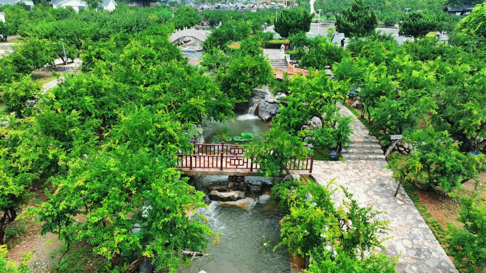 枣庄峄城区:雨后万福园_澎湃号·媒体_澎湃新闻-the paper