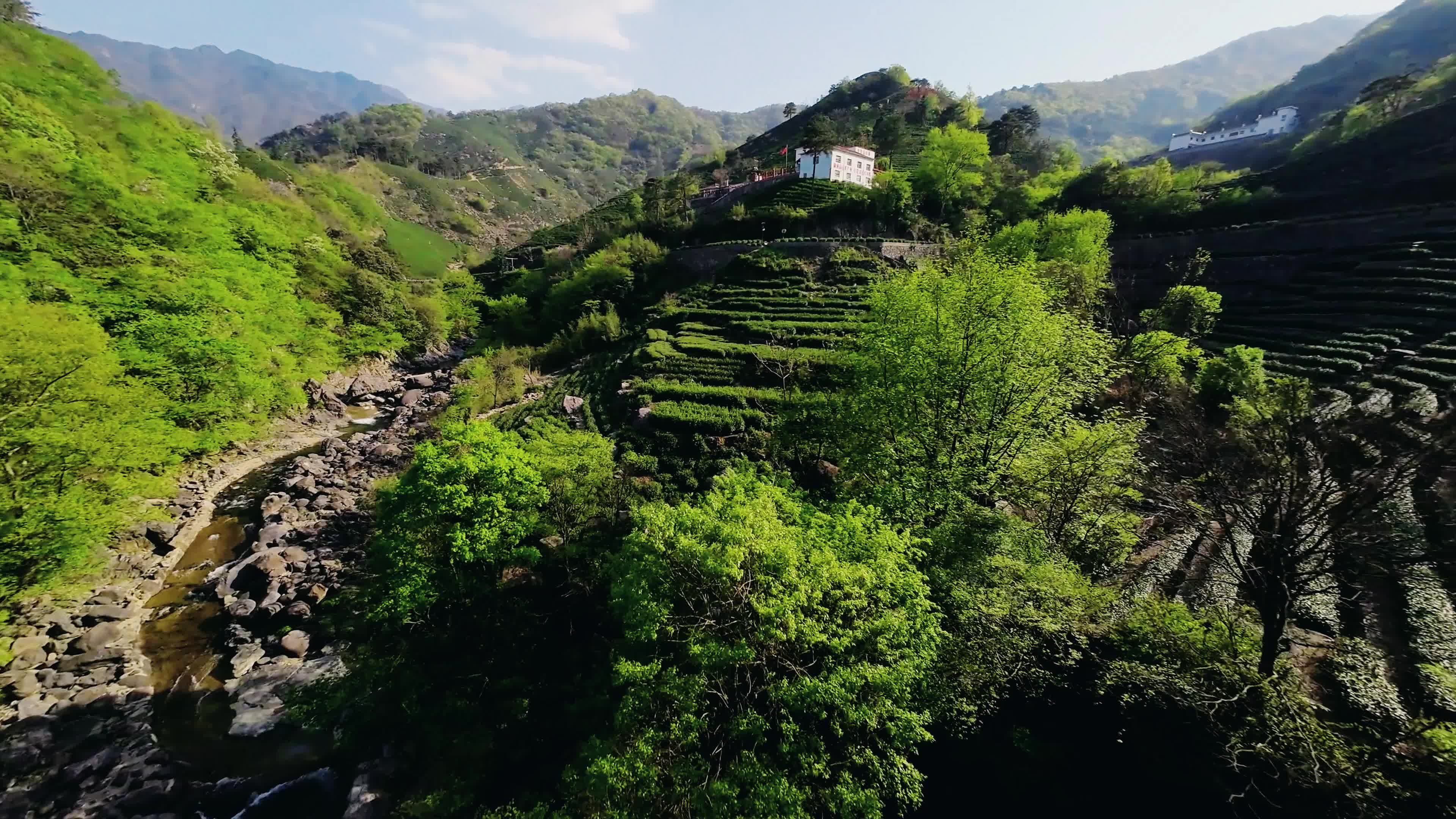 【大美河南】信阳商城:飞阅茶山,穿越机视角来了!