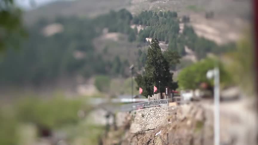 泰安市岱岳区:上"椿"山