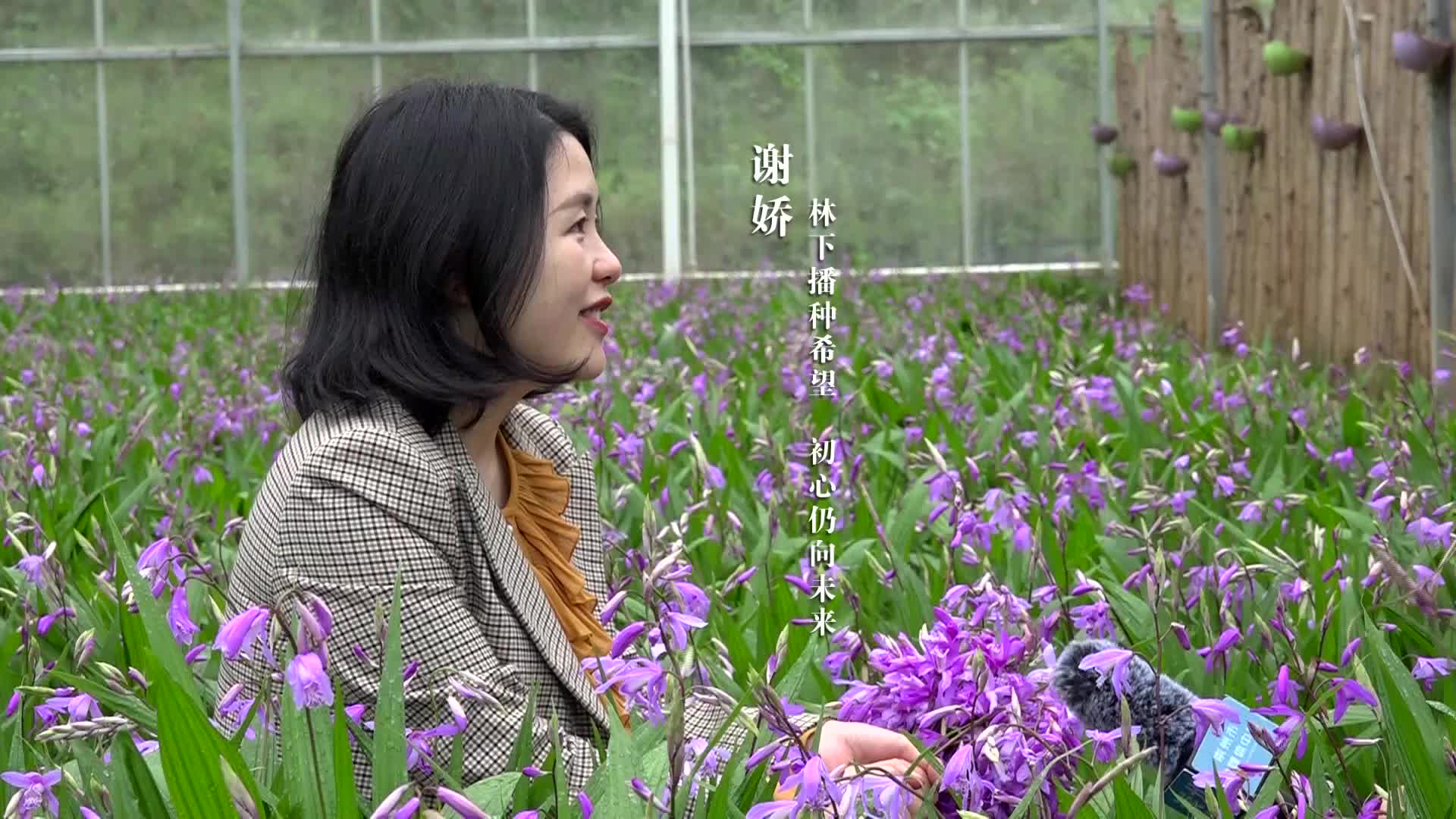 政协委员风采谢娇林下种希望初心向未来